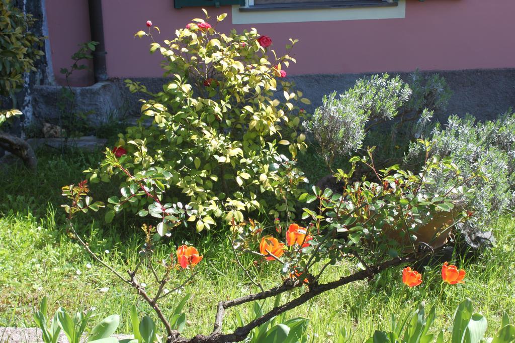 Le Ginestre Apartment Levanto Cameră foto